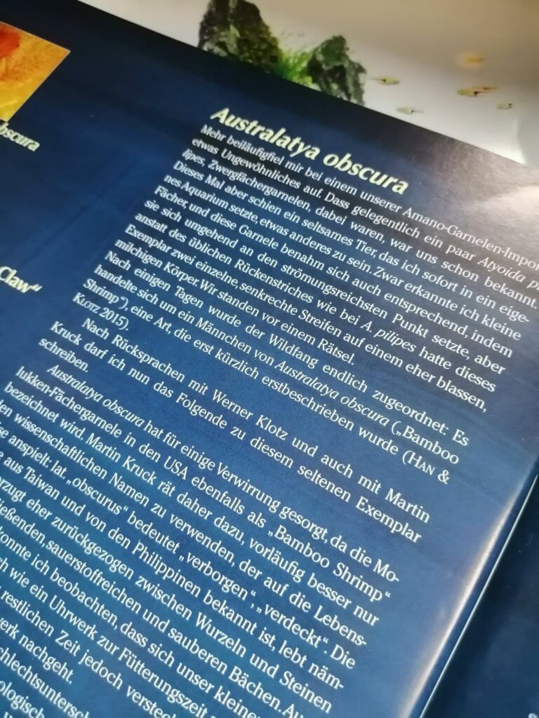 Auf einer Hochglanzseite steht ein deutscher Text über Australatya obscura, am oberen Rand ist etwas grünes Blattwerk zu sehen