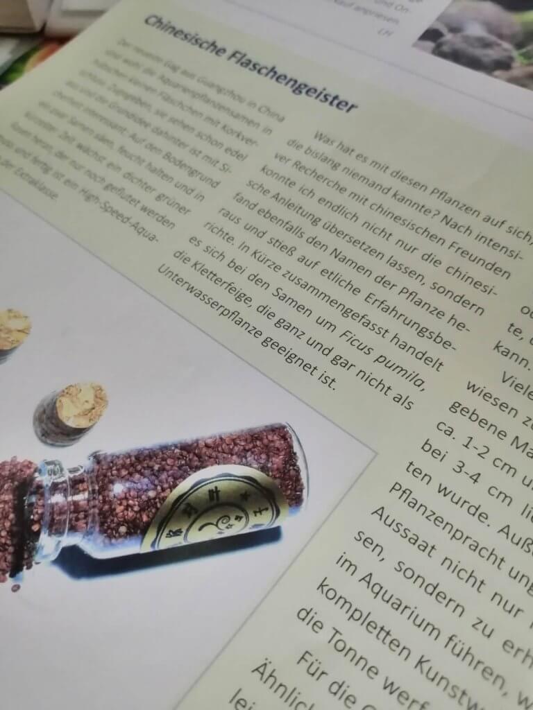 Nahaufnahme einer deutschsprachigen Buchseite über chinesische Pflanzen, daneben ein kleines Glasfläschchen mit Samen und einem Korken