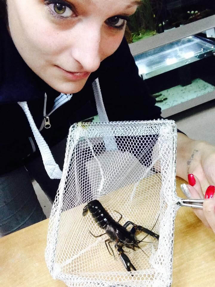 Eine Frau hält ein Netz mit einem kleinen schwarzen Flusskrebs darin in der Hand und schaut in die Kamera