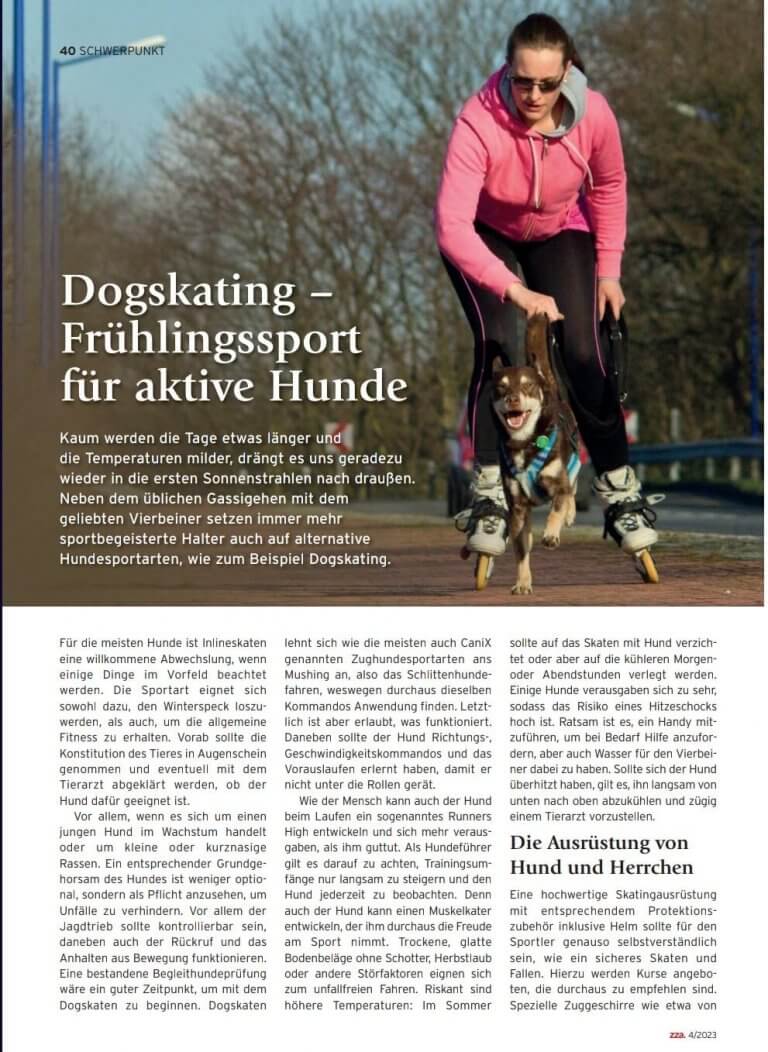 Eine Frau fährt auf Inlineskates mit einem Hund an der Leine; beide sind aktiv und glücklich auf einem sonnigen, asphaltierten Weg unterwegs