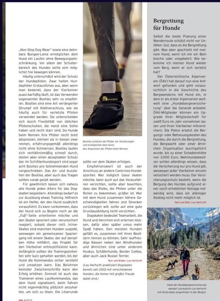 Eine Person steht mit einem Hund, der Pfotenschutz trägt, auf einem Waldweg; Nahaufnahme der Hundeschuhe und Menschen, die mit Hunden wandern