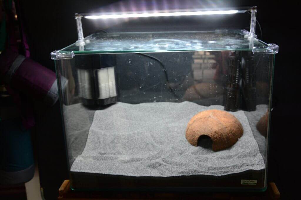 In einem Glasaquarium mit grauem Sand stehen Filter, Heizer und eine halbe Kokosnusshöhle unter heller LED-Beleuchtung für eine automatische Gestaltung