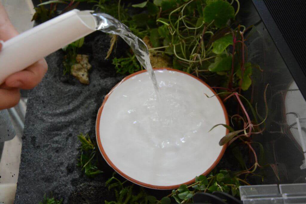 Wasser fließt aus einem Schlauch in eine weiße Schale zwischen grünen Pflanzen und dunklem Bodengrund in der automatischen Darstellung